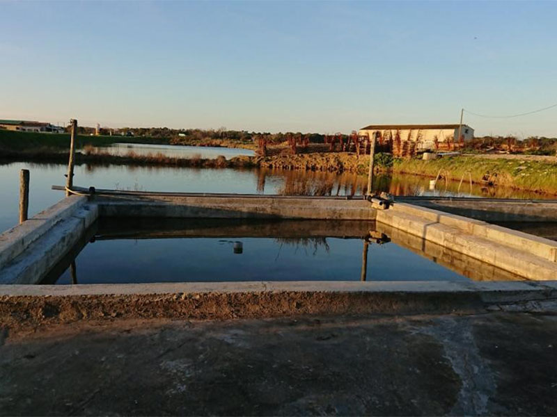 eau et assainissement en ciment prompt