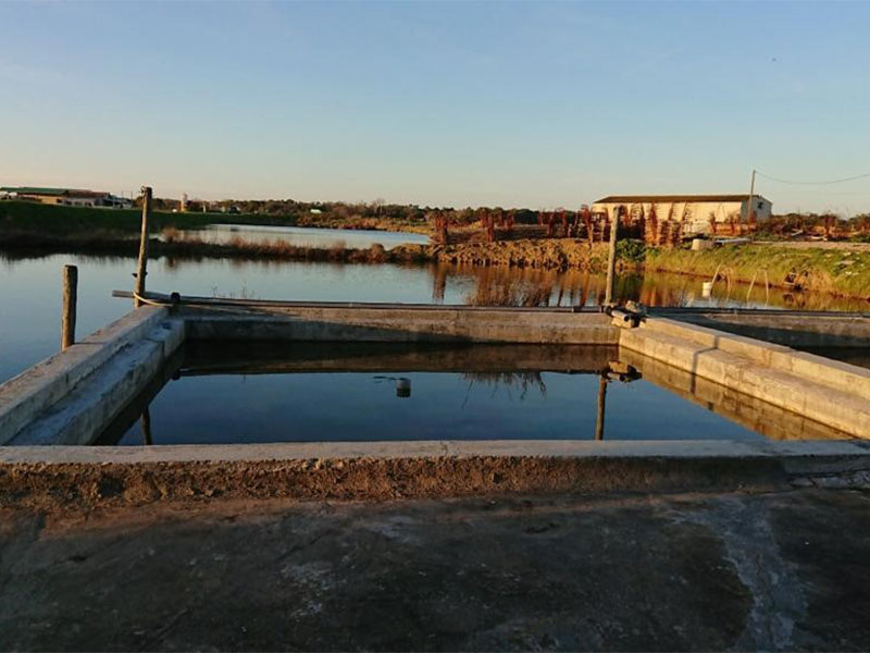 Restauration d'un bassin à huître - Ciment Prompt Vicat