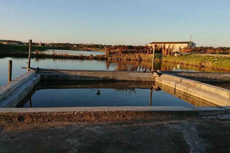 Refilling of the oyster basin.