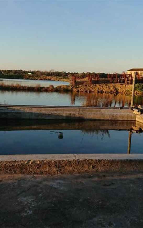 Renovation of an Oyster Basin